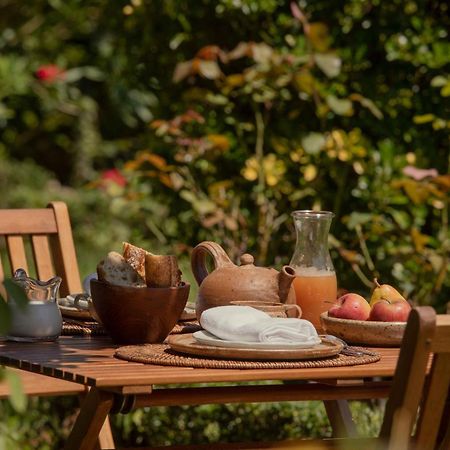 Maison Gamboia, Chambres D'Hotes Au Calme Avec Jardin Hasparren Εξωτερικό φωτογραφία